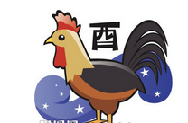 属鼠