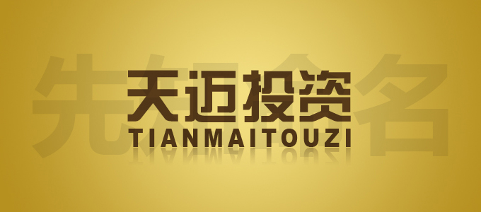 天迈投资