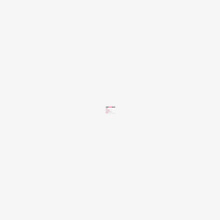 生肖虎