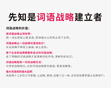 有深度的网络外包公司起名办法