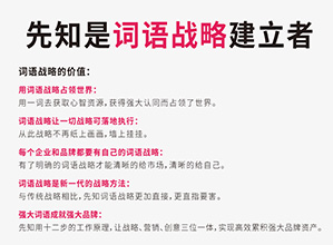 打造品牌的独特魅力战略