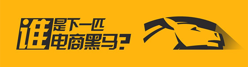 企业网络营销