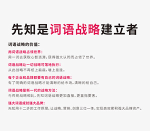品牌策划分析